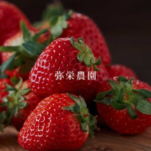 鳥取県オリジナル品種いちご「とっておき」（2～3L未満・18個入り）